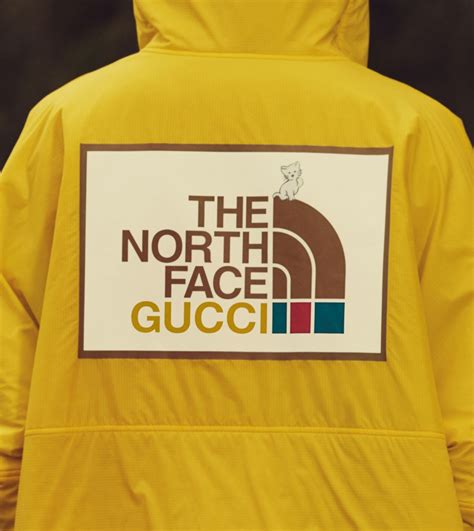 chaussette the north face gucci|Gucci north face retro.